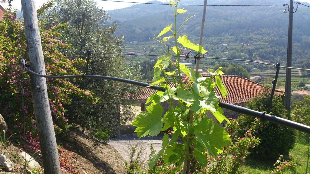 Villa Quinta Da Mata Ponte da Barca Exterior foto