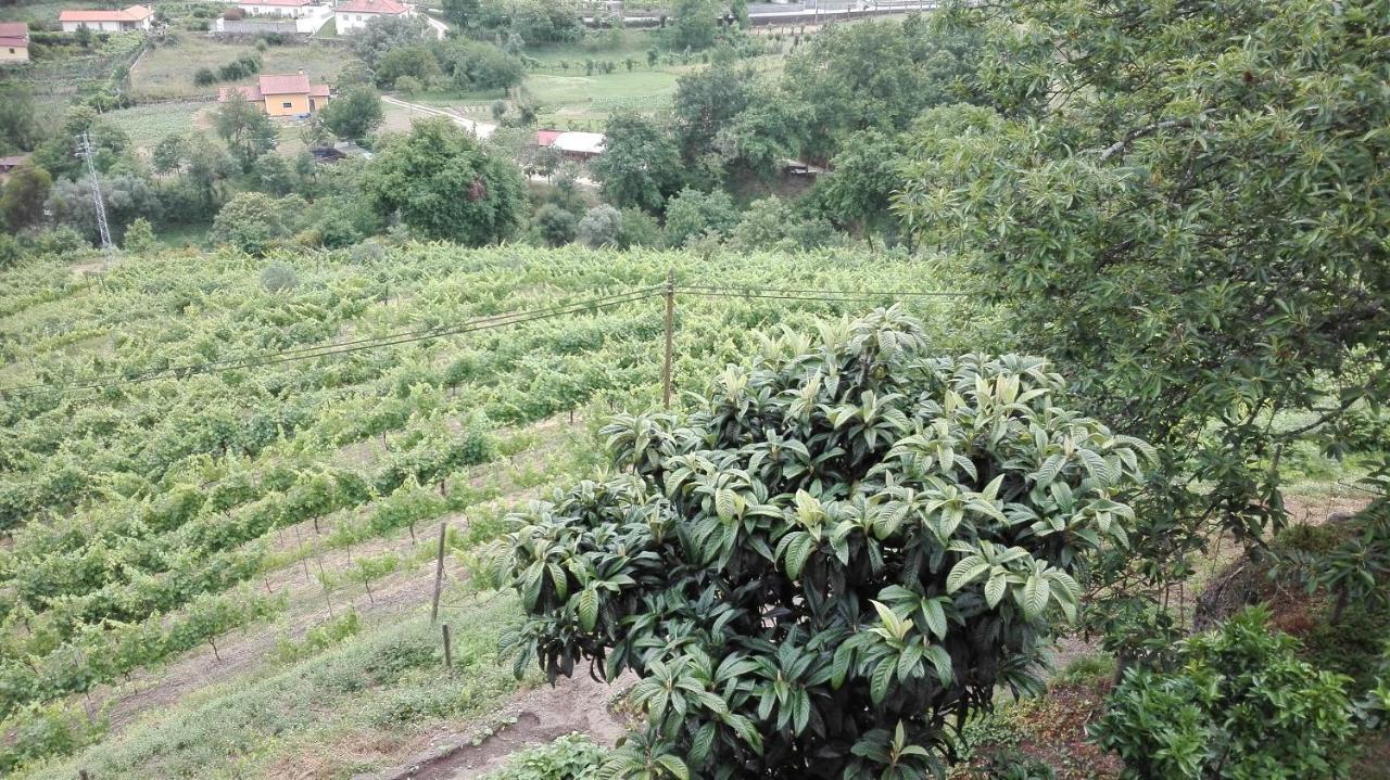 Villa Quinta Da Mata Ponte da Barca Exterior foto